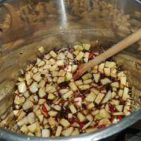 Mango chutney is pot 5 mins into cooking with ingredients still looking a bit raw